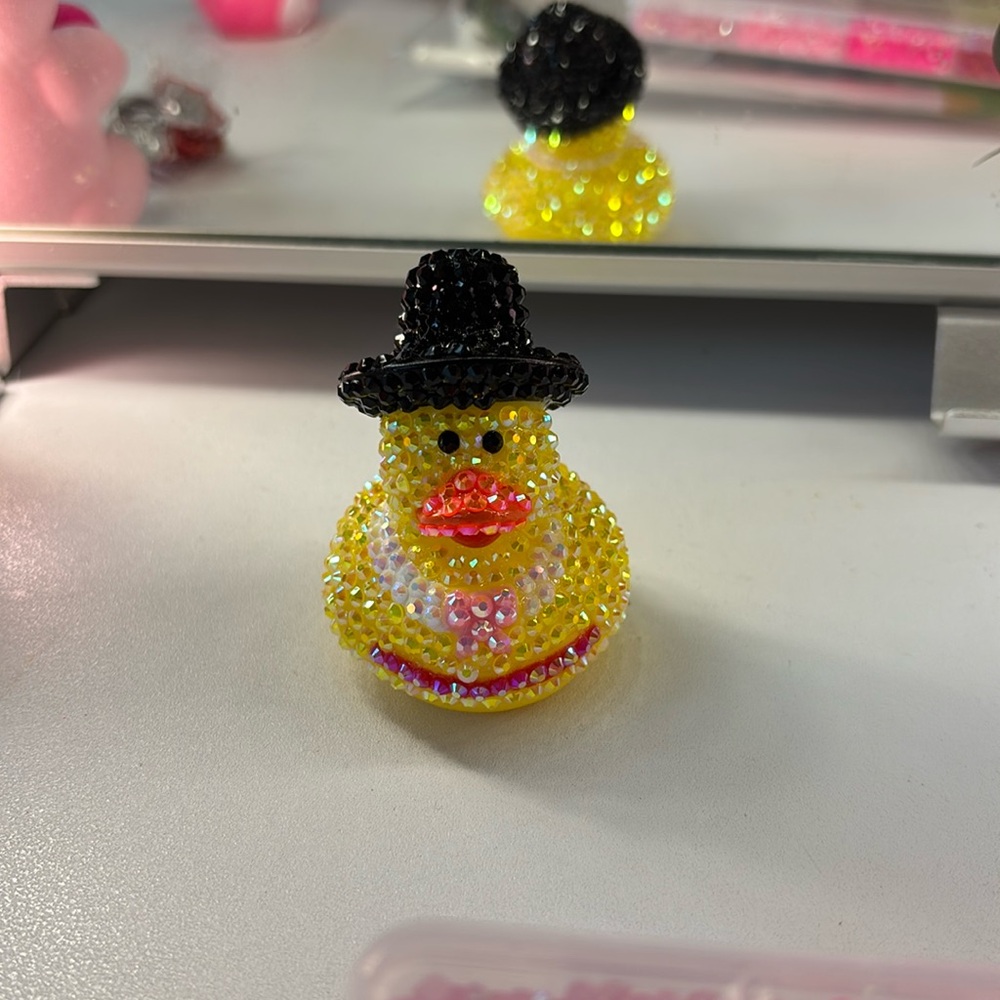 Bedazzled duck!